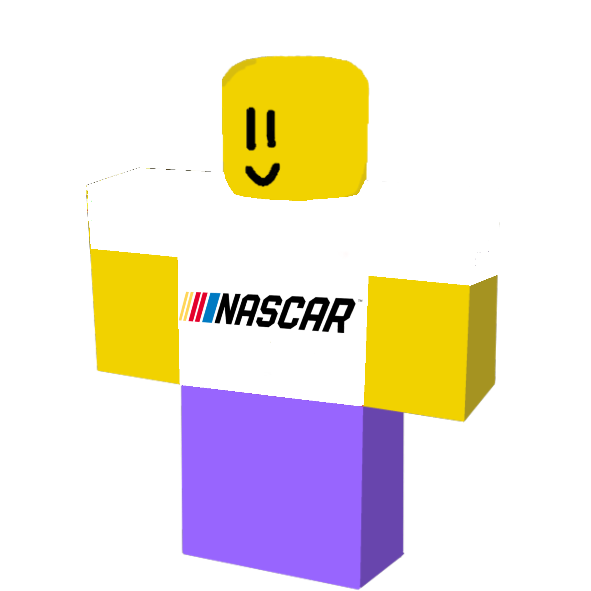 NASCAR Fan Shirt